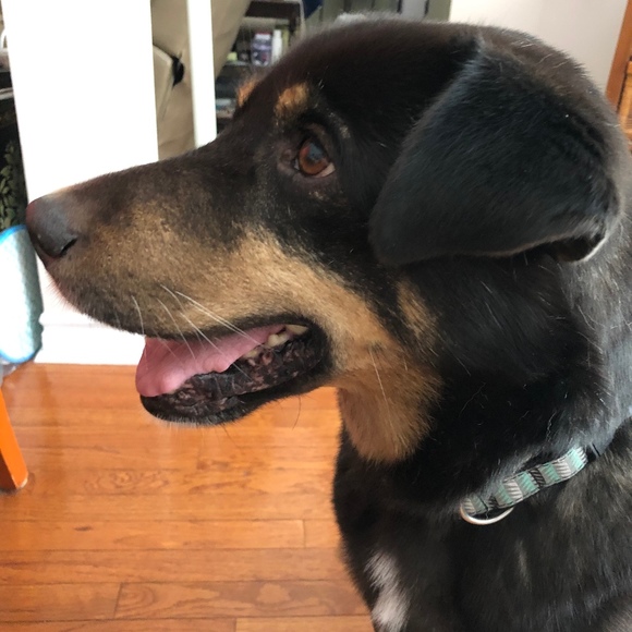 Journey to a smaller me - Picture 1 of 1